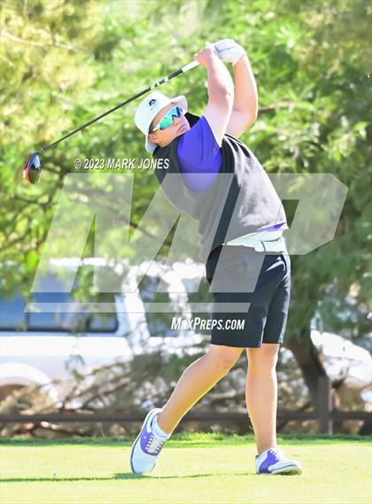 Thumbnail 2 in AIA DII Boys State Golf Championship photogallery.