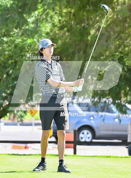 Thumbnail 1 in AIA DII Boys State Golf Championship photogallery.