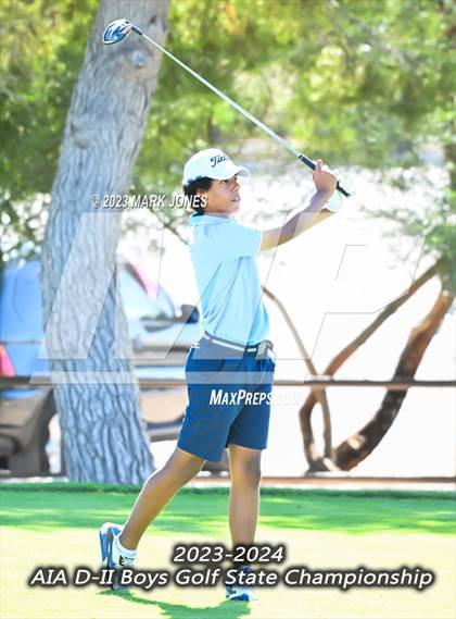 Thumbnail 2 in AIA DII Boys State Golf Championship photogallery.