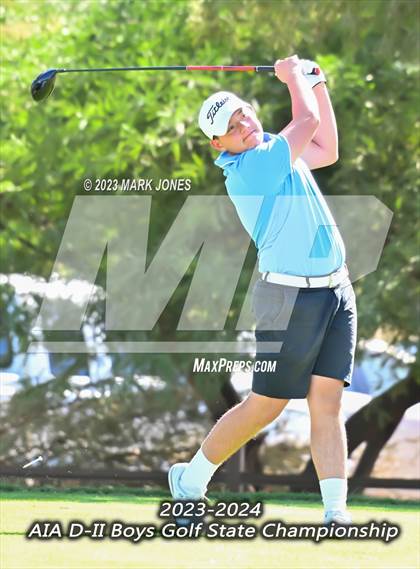 Thumbnail 3 in AIA DII Boys State Golf Championship photogallery.