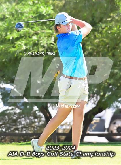 Thumbnail 2 in AIA DII Boys State Golf Championship photogallery.