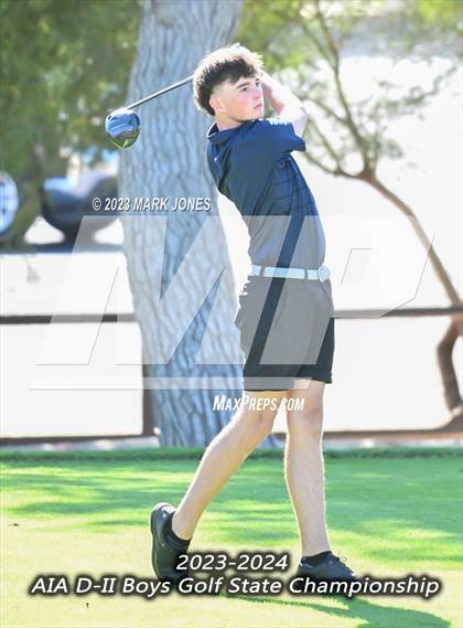 Thumbnail 1 in AIA DII Boys State Golf Championship photogallery.