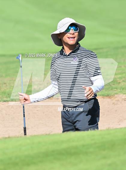 Thumbnail 1 in AIA DII Boys State Golf Championship photogallery.