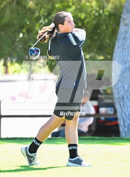 Thumbnail 2 in AIA DII Boys State Golf Championship photogallery.