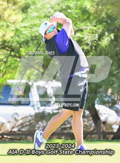Thumbnail 1 in AIA DII Boys State Golf Championship photogallery.