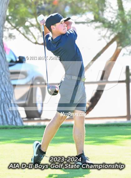 Thumbnail 1 in AIA DII Boys State Golf Championship photogallery.