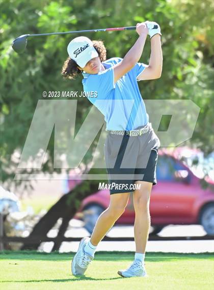 Thumbnail 3 in AIA DII Boys State Golf Championship photogallery.