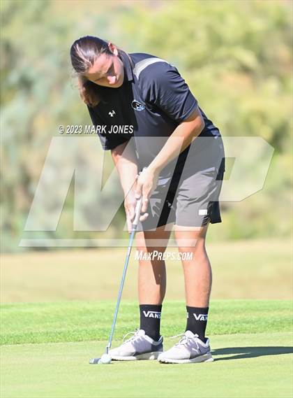 Thumbnail 3 in AIA DII Boys State Golf Championship photogallery.