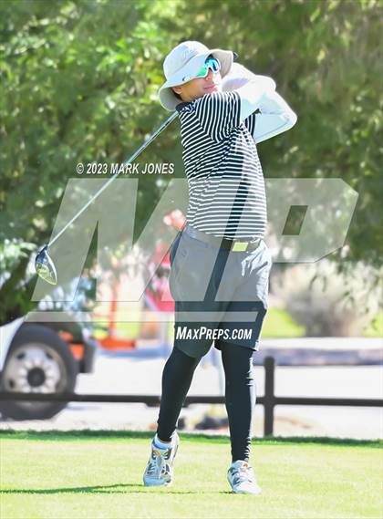 Thumbnail 2 in AIA DII Boys State Golf Championship photogallery.
