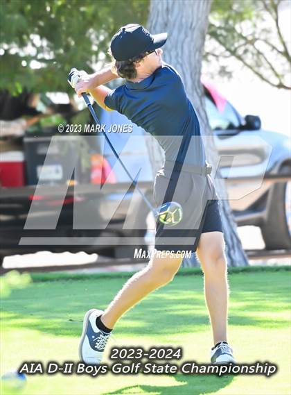 Thumbnail 1 in AIA DII Boys State Golf Championship photogallery.
