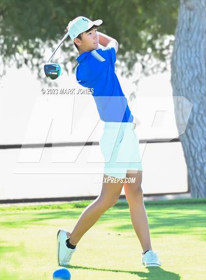 Thumbnail 1 in AIA DII Boys State Golf Championship photogallery.
