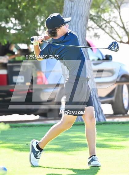 Thumbnail 2 in AIA DII Boys State Golf Championship photogallery.