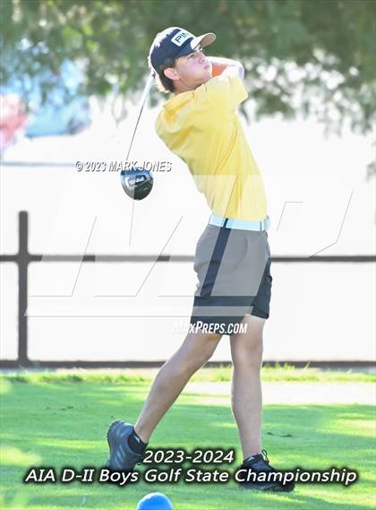 Thumbnail 1 in AIA DII Boys State Golf Championship photogallery.