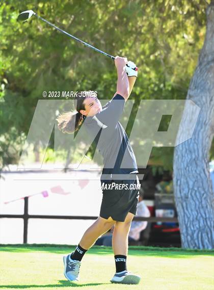 Thumbnail 2 in AIA DII Boys State Golf Championship photogallery.