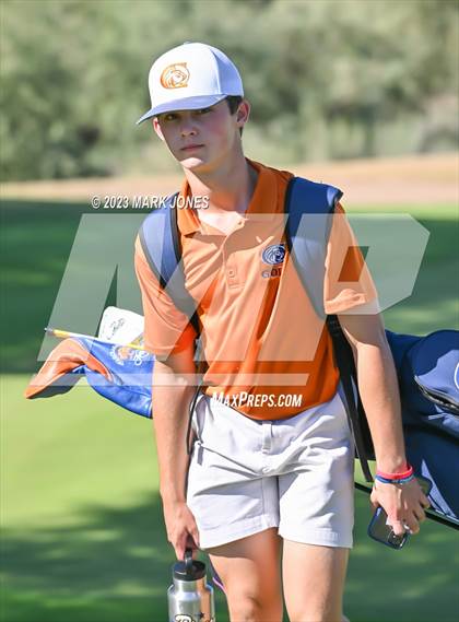 Thumbnail 1 in AIA DII Boys State Golf Championship photogallery.