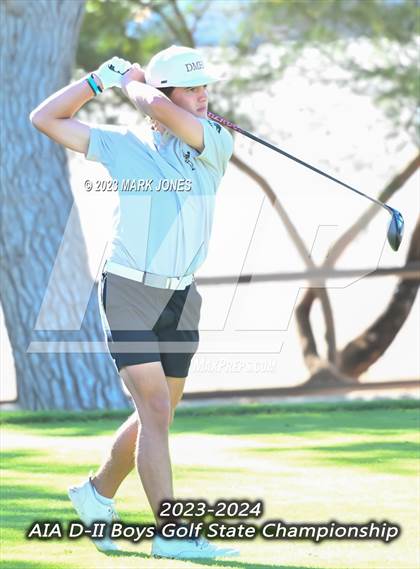 Thumbnail 3 in AIA DII Boys State Golf Championship photogallery.