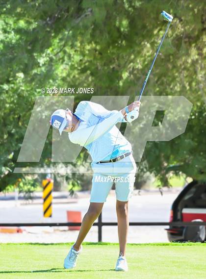 Thumbnail 3 in AIA DII Boys State Golf Championship photogallery.