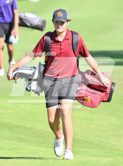Thumbnail 1 in AIA DII Boys State Golf Championship photogallery.