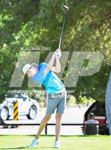 Thumbnail 1 in AIA DII Boys State Golf Championship photogallery.
