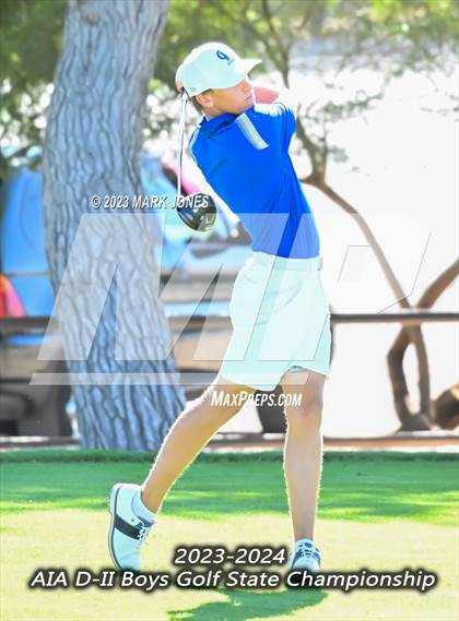 Thumbnail 1 in AIA DII Boys State Golf Championship photogallery.