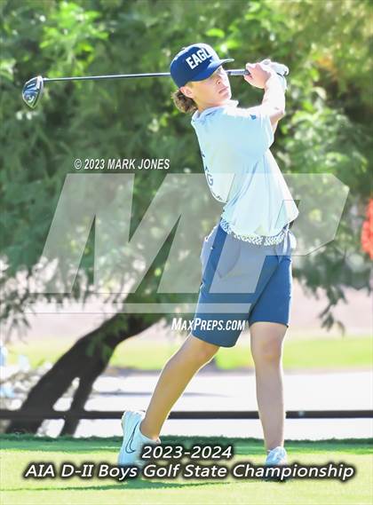 Thumbnail 1 in AIA DII Boys State Golf Championship photogallery.