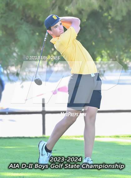 Thumbnail 1 in AIA DII Boys State Golf Championship photogallery.