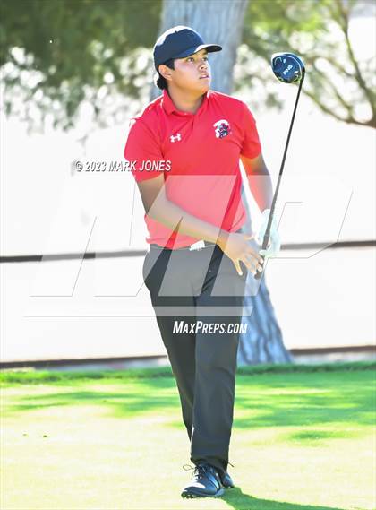 Thumbnail 1 in AIA DII Boys State Golf Championship photogallery.