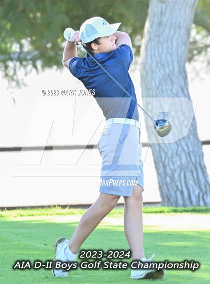 Thumbnail 2 in AIA DII Boys State Golf Championship photogallery.