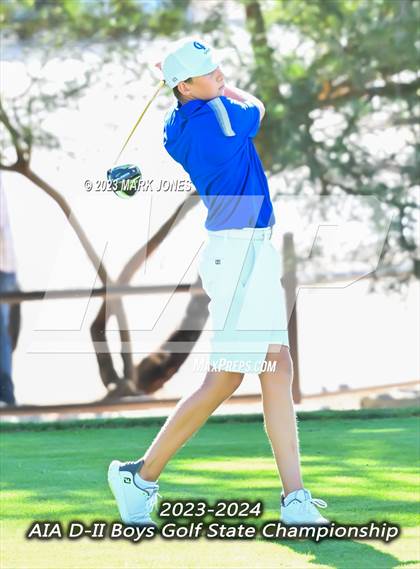 Thumbnail 3 in AIA DII Boys State Golf Championship photogallery.