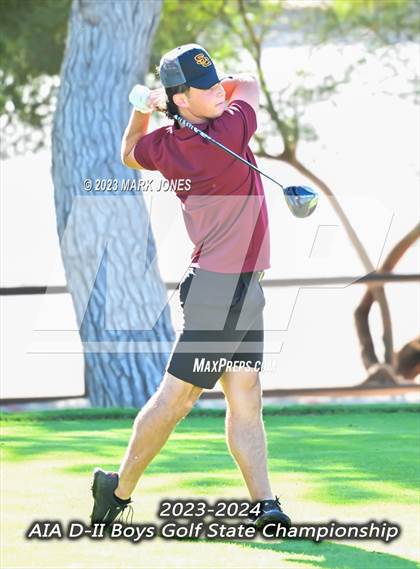 Thumbnail 1 in AIA DII Boys State Golf Championship photogallery.