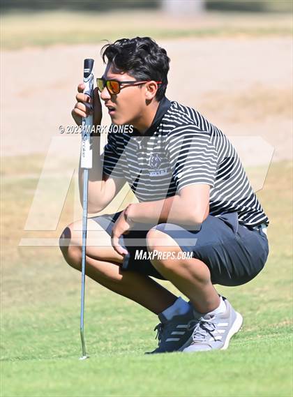Thumbnail 3 in AIA DII Boys State Golf Championship photogallery.