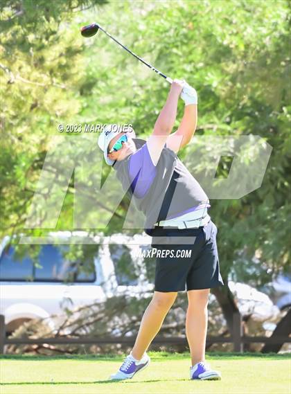 Thumbnail 1 in AIA DII Boys State Golf Championship photogallery.
