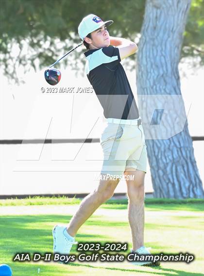 Thumbnail 1 in AIA DII Boys State Golf Championship photogallery.