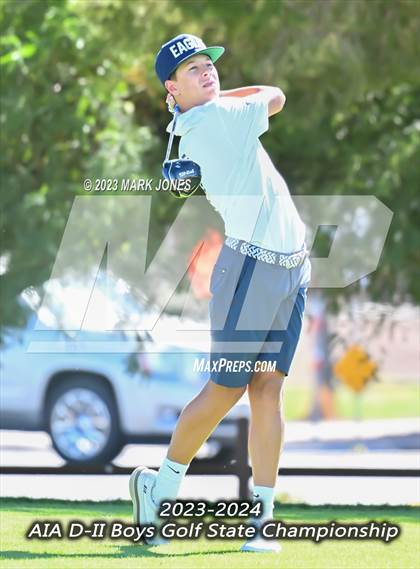 Thumbnail 2 in AIA DII Boys State Golf Championship photogallery.