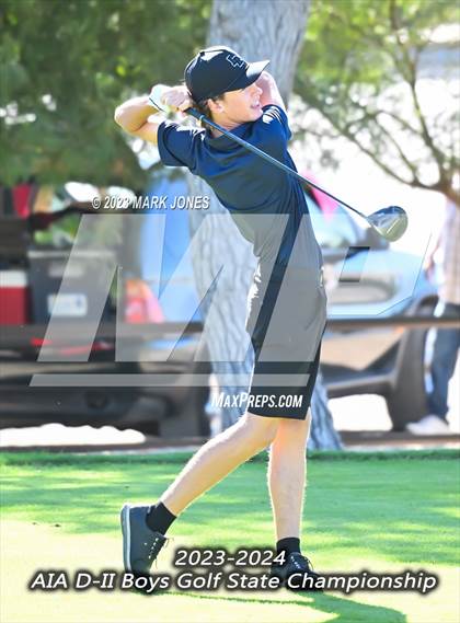 Thumbnail 1 in AIA DII Boys State Golf Championship photogallery.