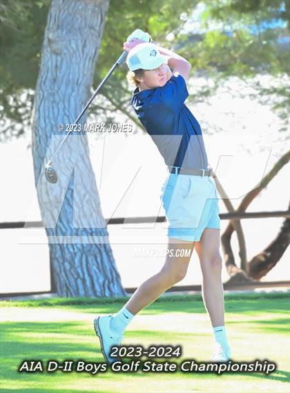 Thumbnail 2 in AIA DII Boys State Golf Championship photogallery.