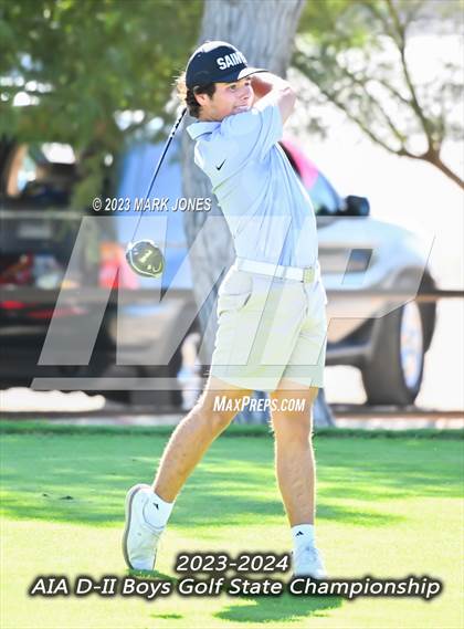 Thumbnail 3 in AIA DII Boys State Golf Championship photogallery.