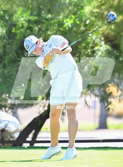 Thumbnail 1 in AIA DII Boys State Golf Championship photogallery.