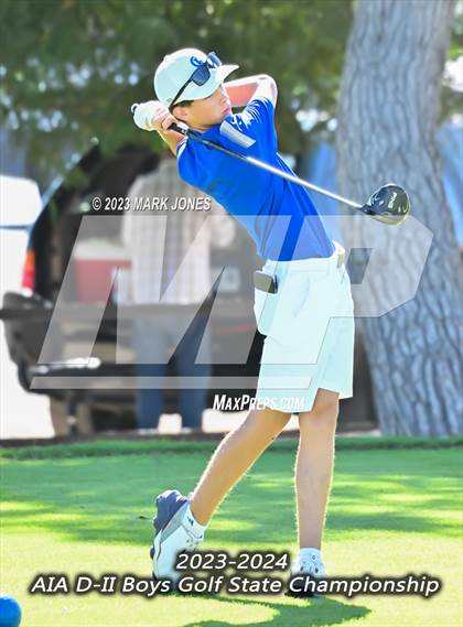 Thumbnail 1 in AIA DII Boys State Golf Championship photogallery.