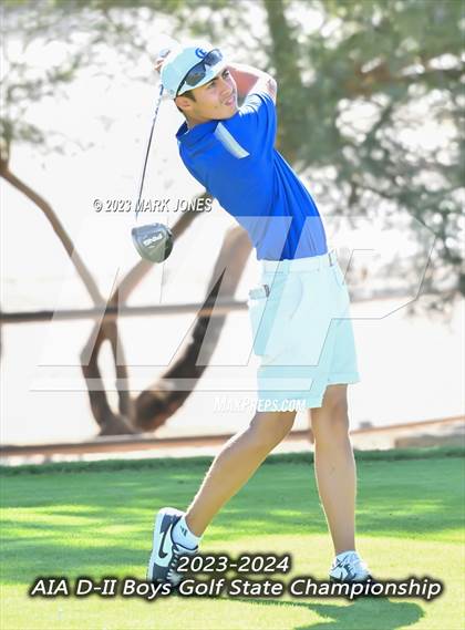 Thumbnail 1 in AIA DII Boys State Golf Championship photogallery.