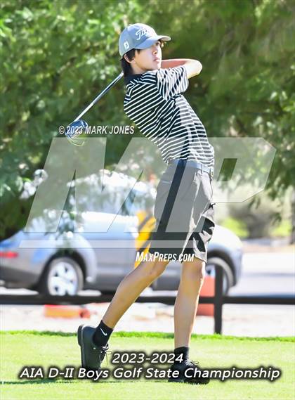 Thumbnail 3 in AIA DII Boys State Golf Championship photogallery.