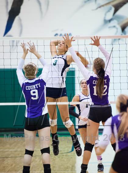 Thumbnail 3 in Douglas County @ ThunderRidge photogallery.