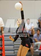 Photo from the gallery "St. John Paul II Academy @ Saint Andrew's"