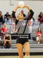 Photo from the gallery "St. John Paul II Academy @ Saint Andrew's"