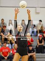 Photo from the gallery "St. John Paul II Academy @ Saint Andrew's"