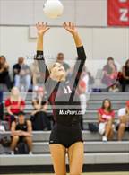 Photo from the gallery "St. John Paul II Academy @ Saint Andrew's"