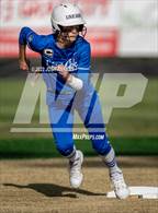 Photo from the gallery "Live Oak @ St. Amant"