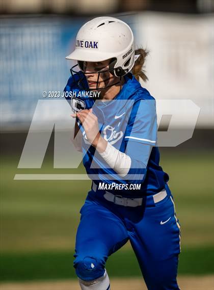 Thumbnail 1 in Live Oak @ St. Amant photogallery.