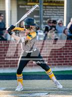 Photo from the gallery "Live Oak @ St. Amant"