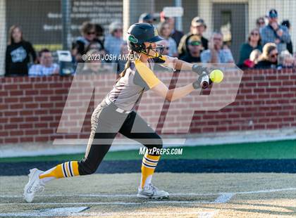 Thumbnail 2 in Live Oak @ St. Amant photogallery.